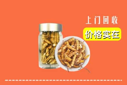 收购资讯:大理州弥渡回收散虫草