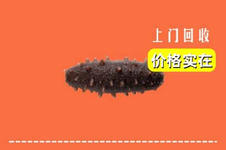 收购资讯:大理州弥渡回收海参