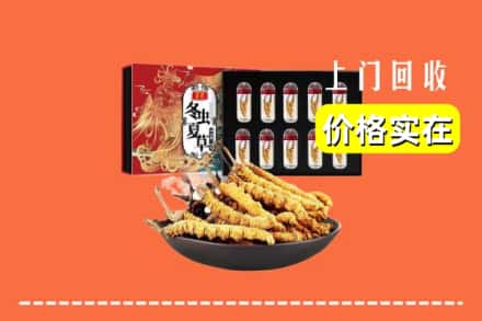 大理州弥渡回收虫草
